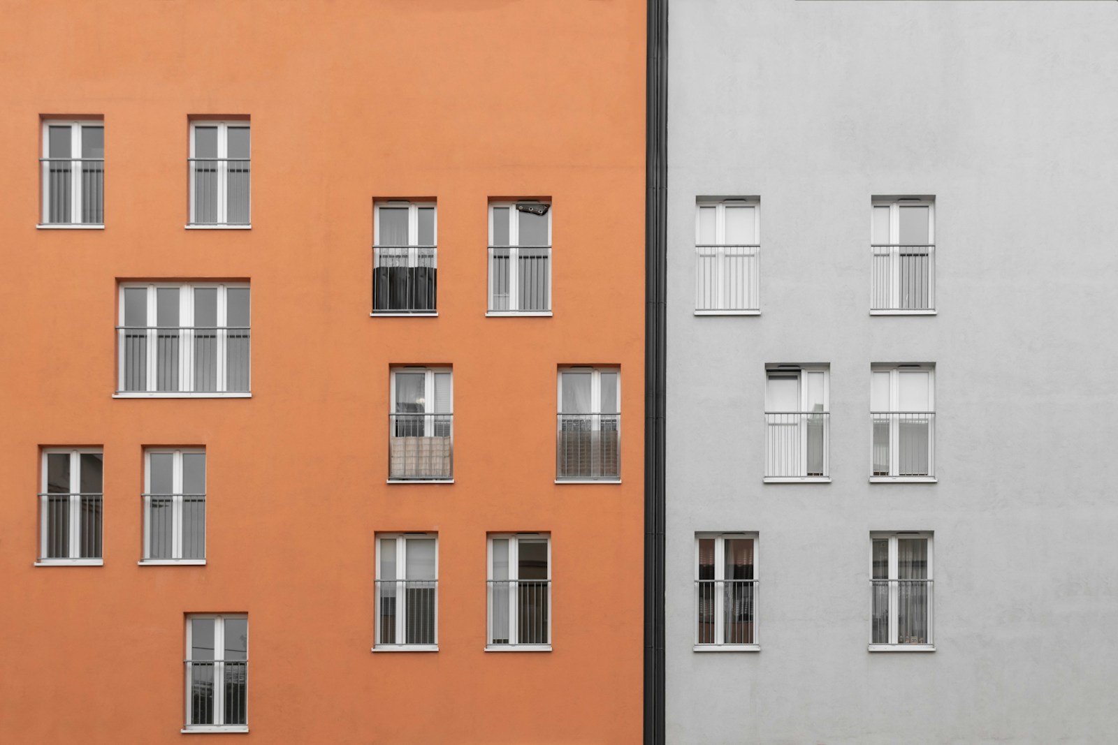 color vs black and white dreams