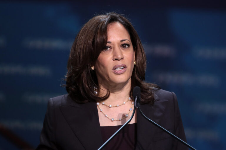 Why Did Kamala Harris Lose the 2024 Election?