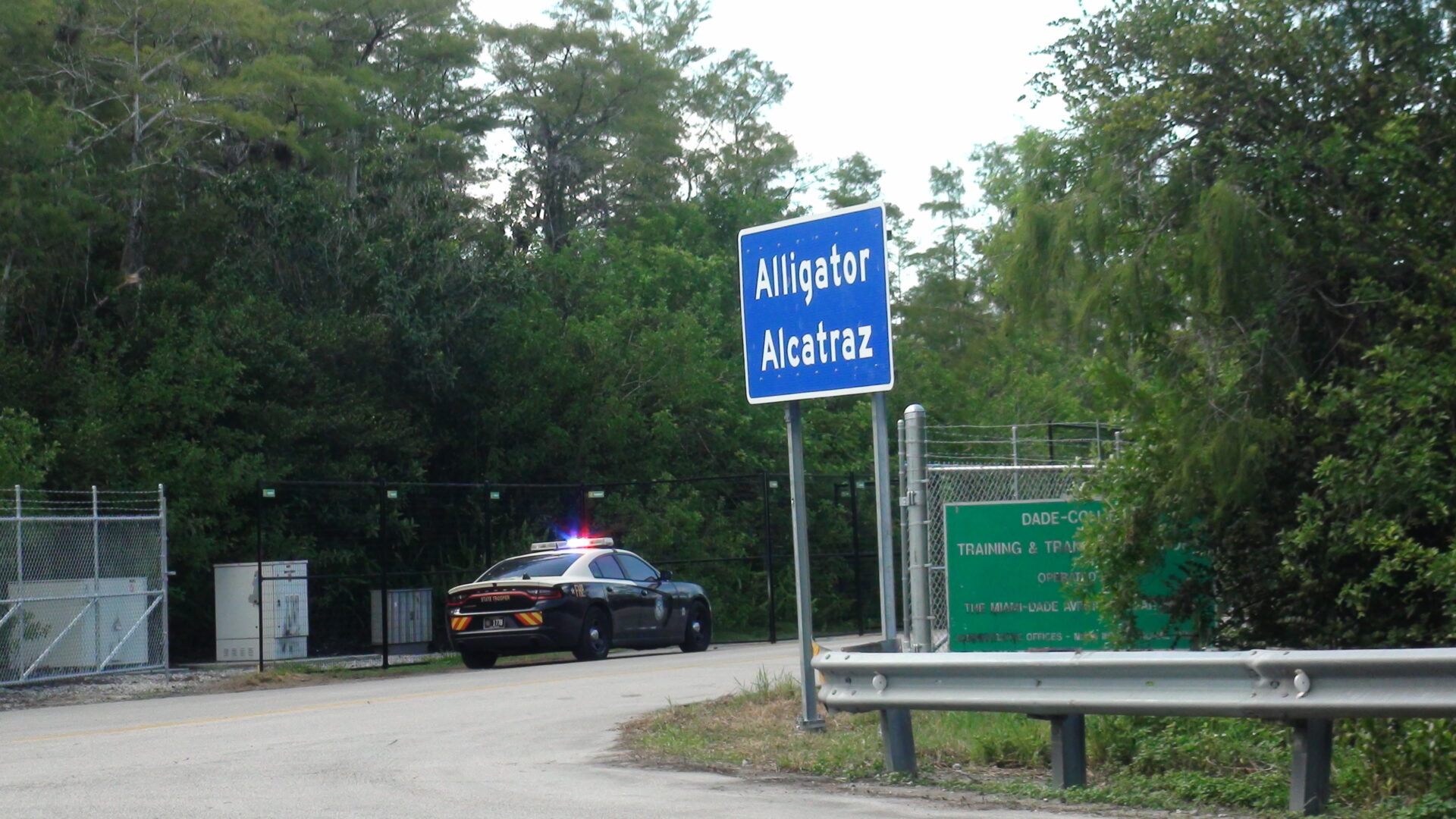 alligator alcatraz