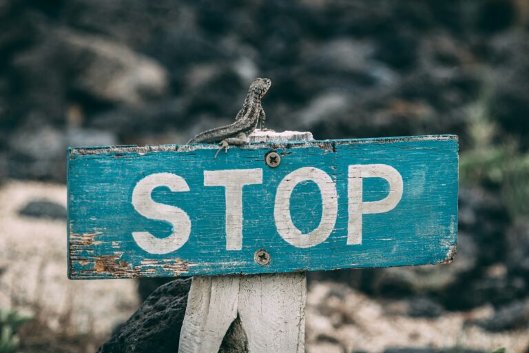 What is the Stop Illegal Entry Act?
