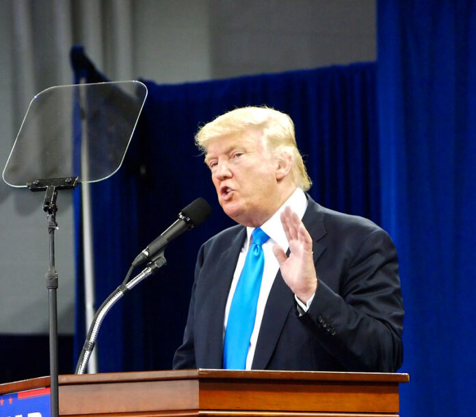 Trump domestic violence