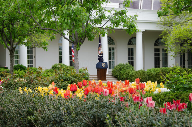 What Caused the Rose Garden Gash?