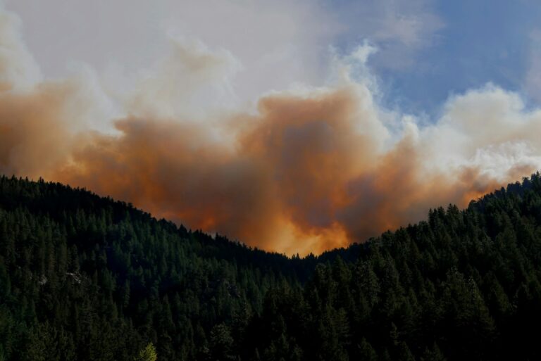 Why Are Massive Wildfires Spreading Fast in Central California?