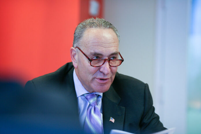 Schumer government shutdown