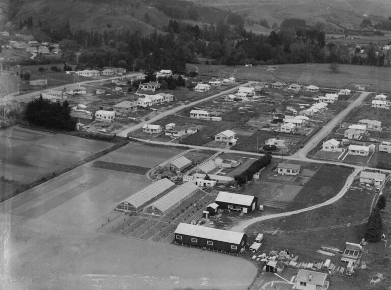 Inside the Devastating War That Killed 40,000