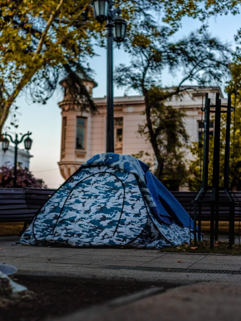Will Trump Expand Mental Institutions for the Homeless?
