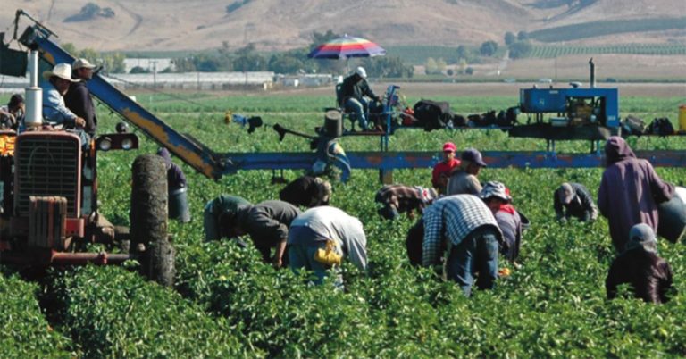 Farmworkers Day: California Renames Cesar Chavez Holiday After Controversy