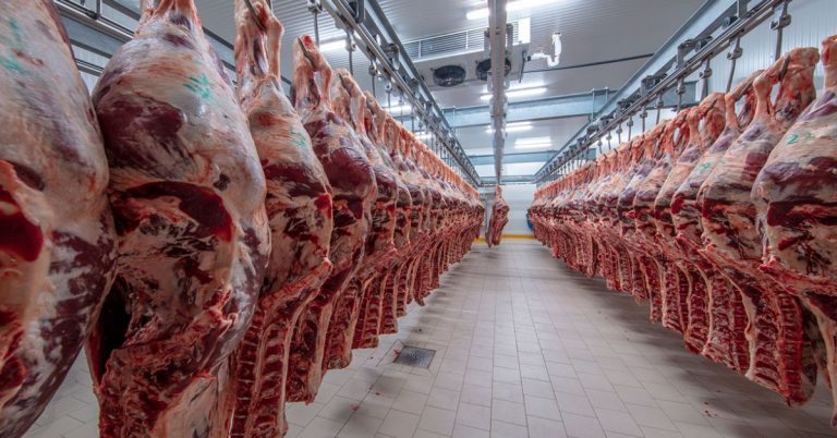 Meatpacking Plant Strike: 3,800 Workers Walk Out in Massive Dispute