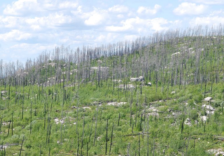 Israel mandates death penalty for West Bank Palestinians who kill in terrorist acts – The Washington Post