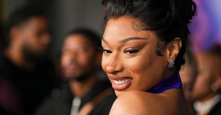 Megan Thee Stallion: Hospitalized During Broadway Show