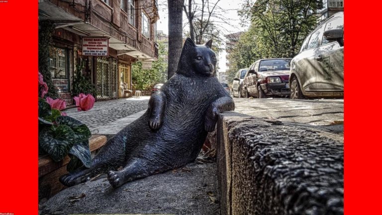 Trading Shadowed Trump: 7 Best Proven Trading Open Shadowed