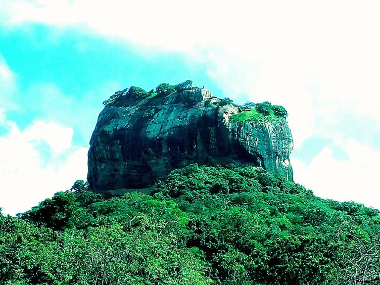 Sri Lanka Fell Highlighting the Impact of Global Disruptions