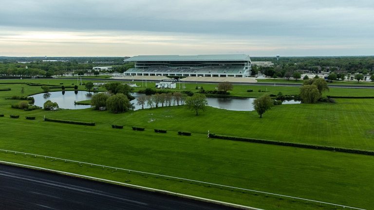 Bears Complicating Threatens the Arlington Heights Stadium Plan