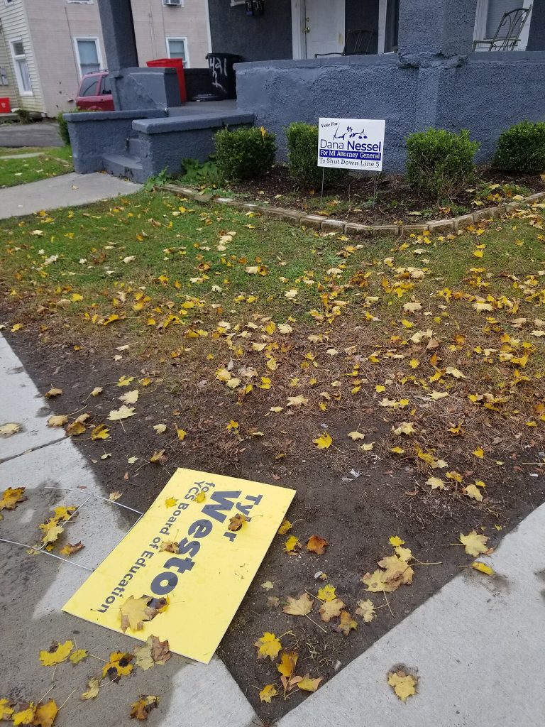 El – Sayed Leads Combative Michigan Senate Primary With No Clear Front