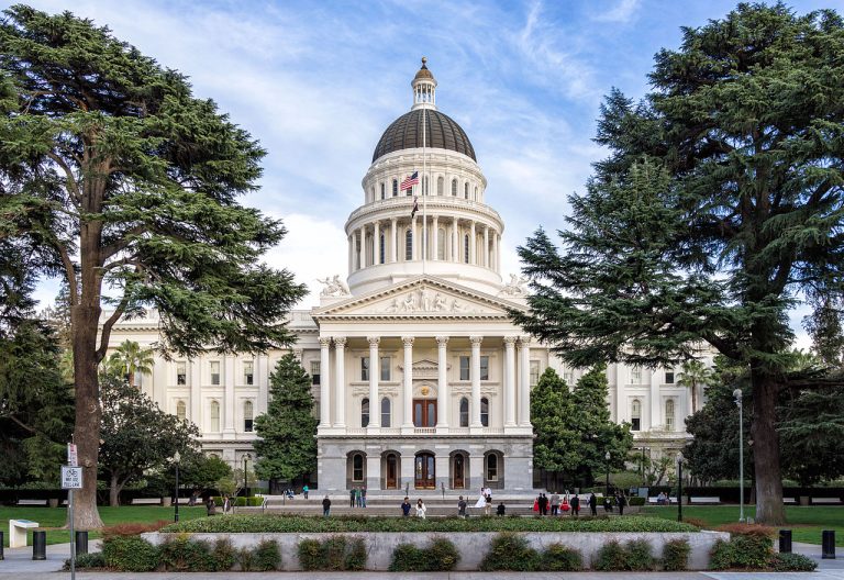 Bill Essayli Launches Election Fraud Probes With FBI Amid California Primary Chaos