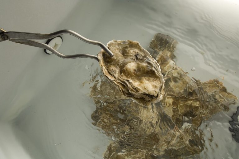 University of New Hampshire Lead Expand Domestic Seafood Production