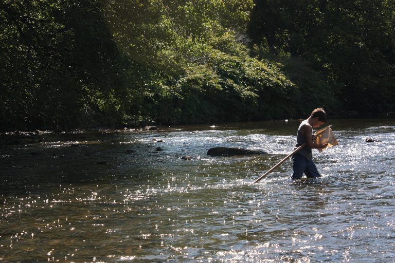 TRANSECTS Initiative Engages Global Students in South African Conservation