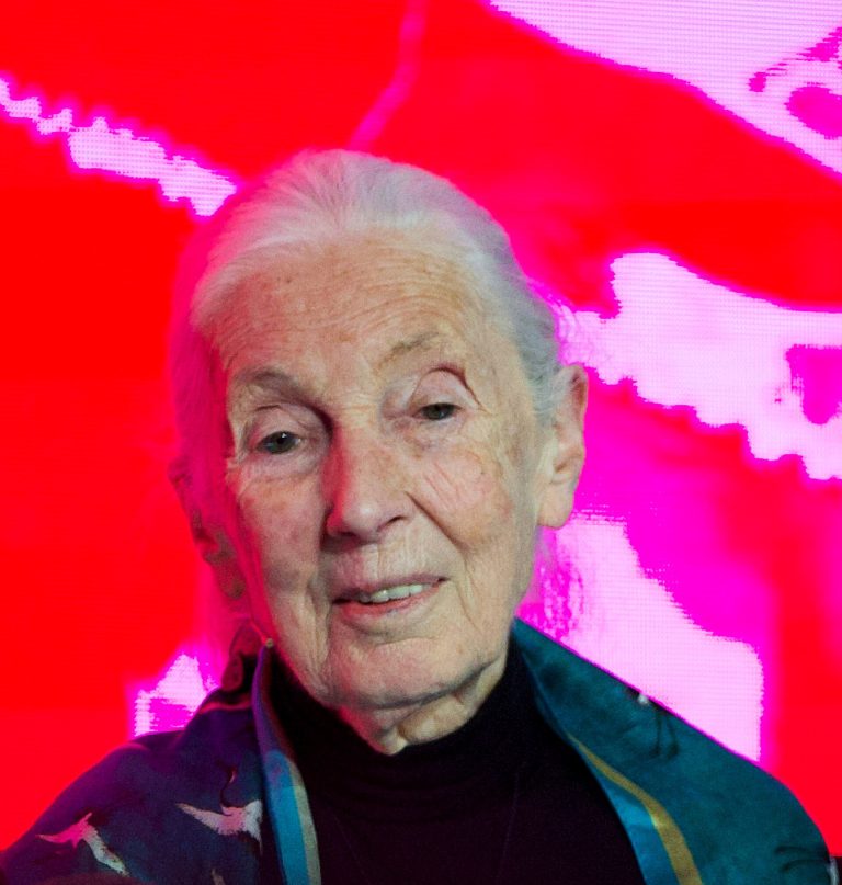 Viral Jane Goodall Quote Highlights Women’s Independence