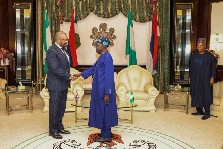 ECOWAS Diplomacy Under Scrutiny as Jonathan and Tinubu Hold Unannounced Talks